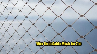 L'application de la maille de volière d'oiseau de zoo de l'acier inoxydable 316