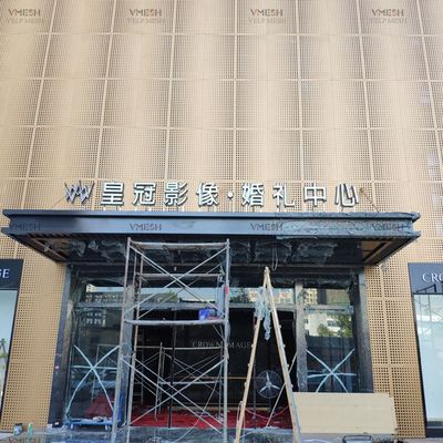 Plaque perforée en acier inoxydable en aluminium revêtu de poudre pour façade architecturale