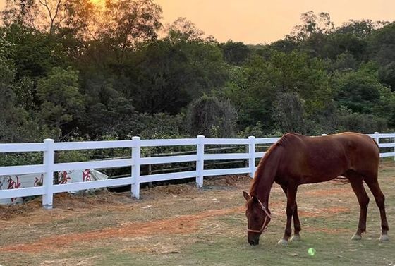 Fermeture à cheval en PVC à 3 rails pour fermes et ranchs