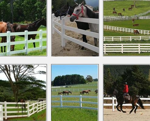 Longévité Vinyle blanc PVC Ferme de clôture 3 rails Horse Rail