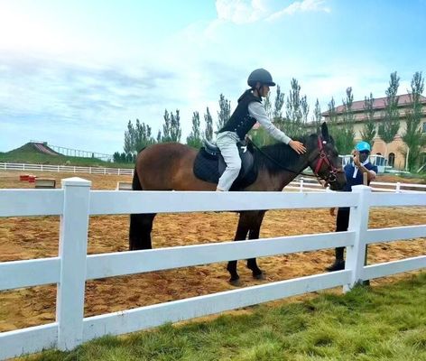 Fermeture en PVC Ferme 3 rails Ferme de chevaux Fermeture facile