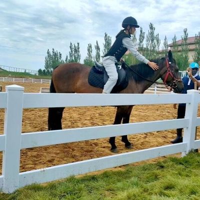 Clôture à cheval en PVC à 3 rails en plastique stable