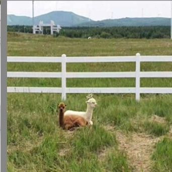 3 rails 1,8*2,5m clôture de ferme en PVC
