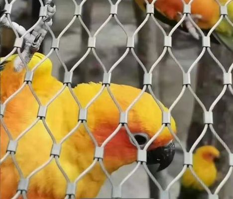 Maillage en acier inoxydable à l'ouverture de 50 x 50 mm pour clôtures de zoo avec absorption d'impact sans bords tranchants et ignifuge