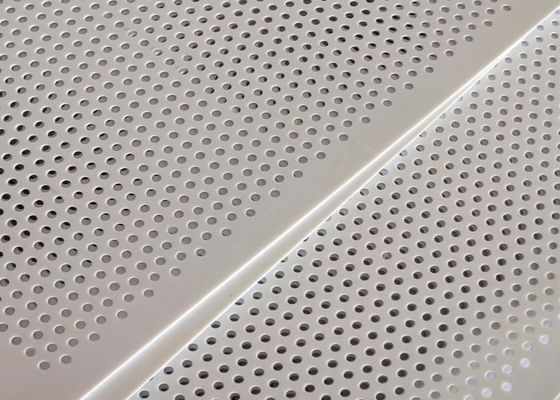 L'industrie alimentaire perforée en plastique blanche de PVC Mesh Panel Thin Sheet For