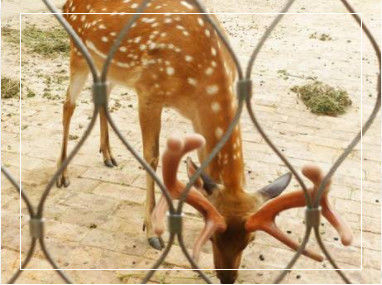 Maillage de corde en acier inoxydable flexible tissé à la main avec des dimensions de bordure personnalisables pour balustrades et enclos de zoo