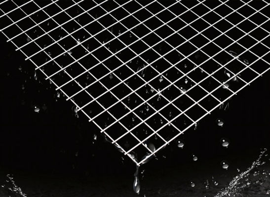 Panneaux de treillis galvanisés soudés de 25x25 mm pour clôtures décoratives