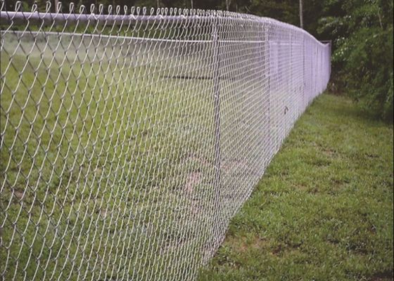 Fence à chaîne galvanisée à chaud 6 pieds 8 pieds 30m 50m Roll