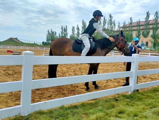 Fermeture à cheval en PVC à 3 rails pour fermes et ranchs