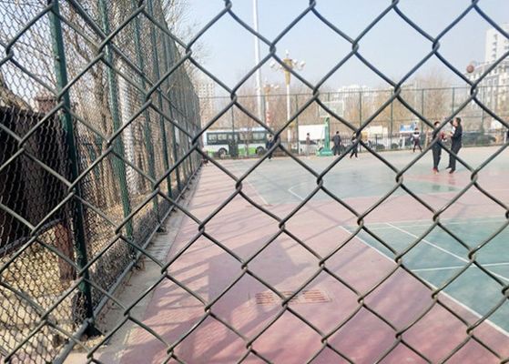 Clôture en treillis soudé enduite de PVC, calibre 10, en acier galvanisé, maillage de sécurité
